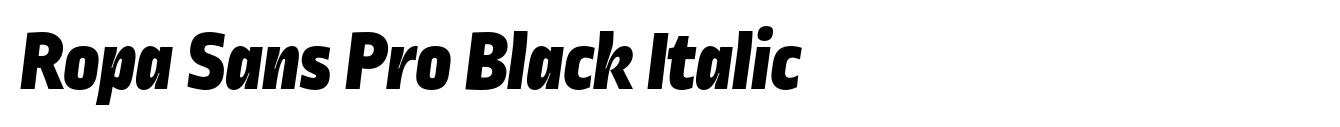 Ropa Sans Pro Black Italic